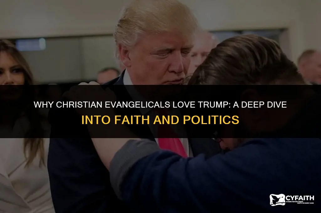 why christian evangelical love trump