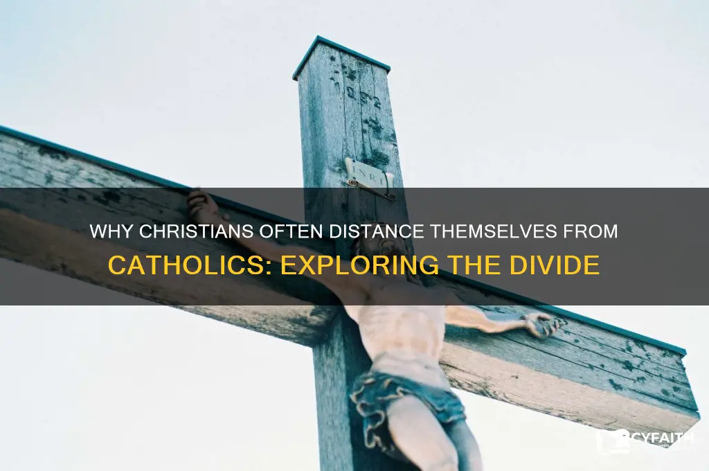 why christians don t like catholics
