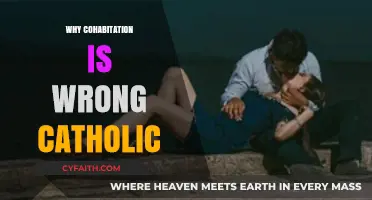 Cohabitation vs. Catholic Teachings: Understanding the Moral Dilemma