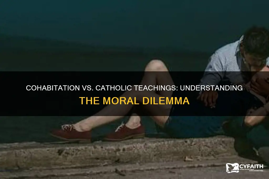 why cohabitation is wrong catholic