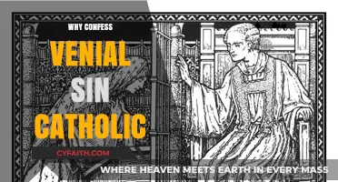 Confessing Venial Sins: A Catholic's Path to Grace and Growth