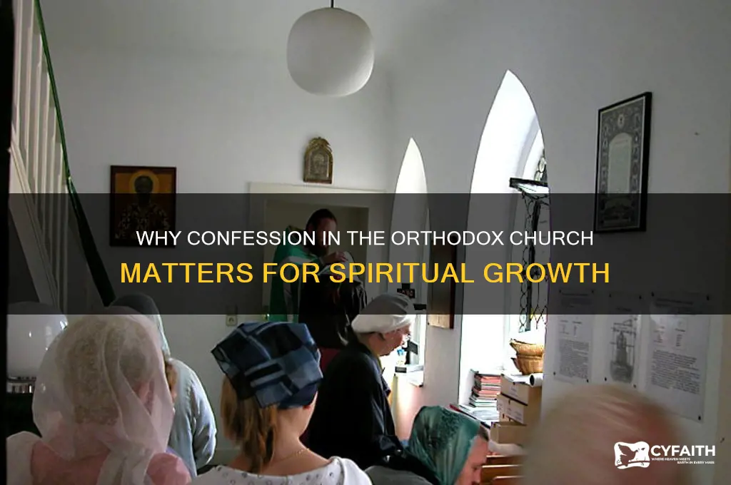 why confession orthodox church