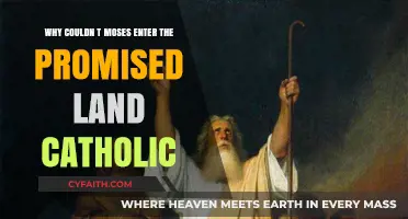 Moses' Exclusion: Catholic Insights on the Promised Land Denial