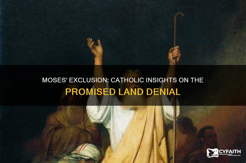 why couldn t moses enter the promised land catholic
