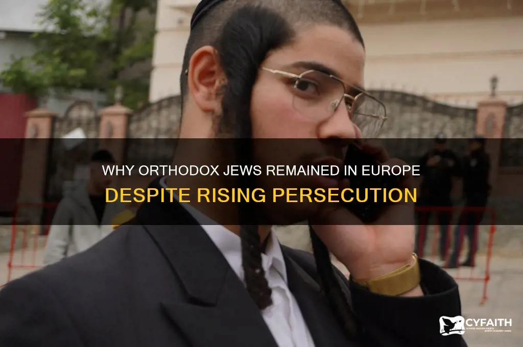 why ddidnt orthodox jews leave europe