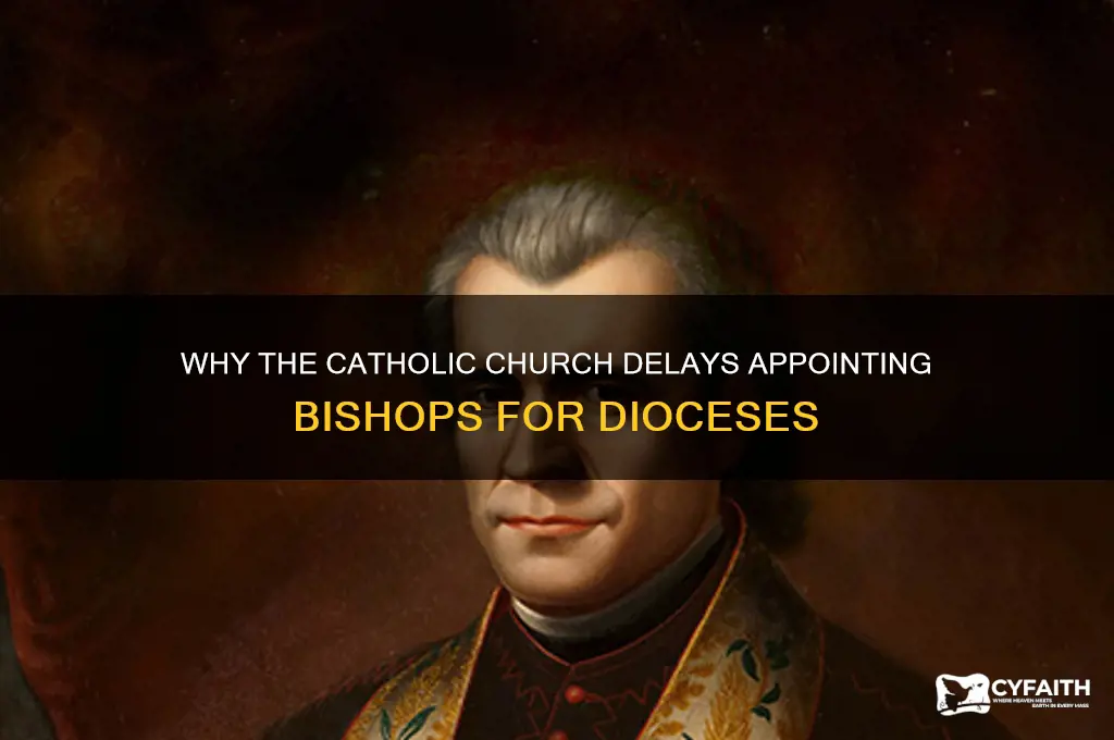 why delay appointing bishops for catholic diocese