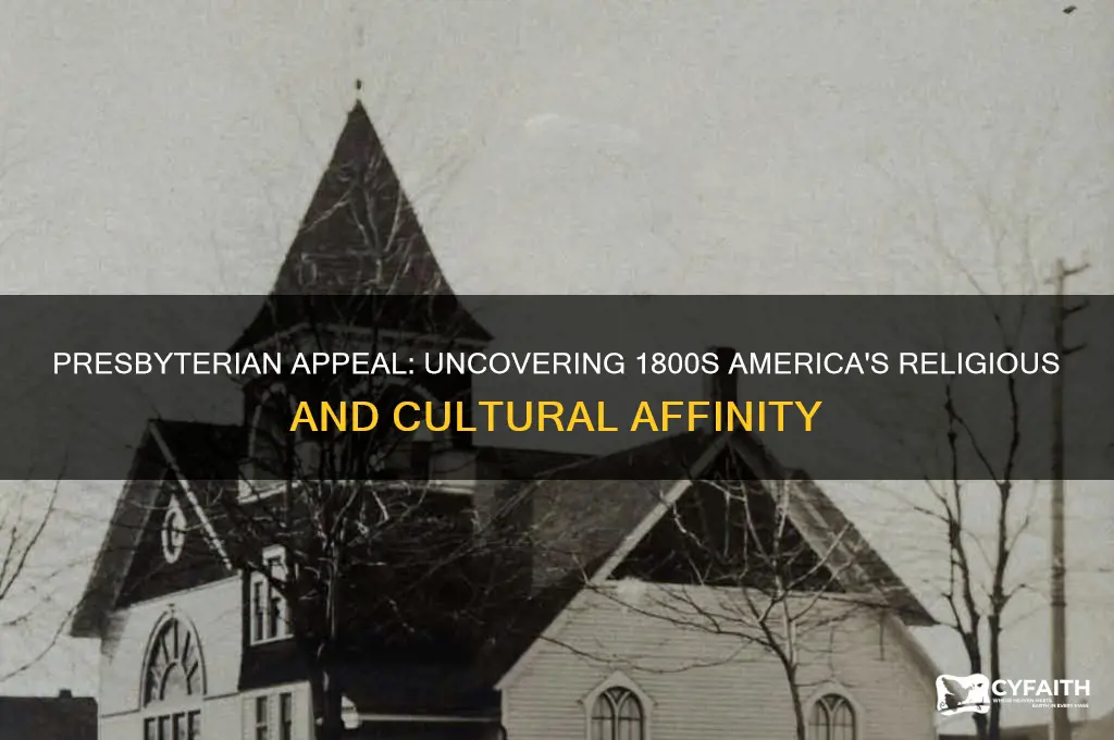 why did 1800 america like presbyterian