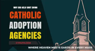 ACLU vs. Catholic Adoption Agencies: The Shutdown Explained