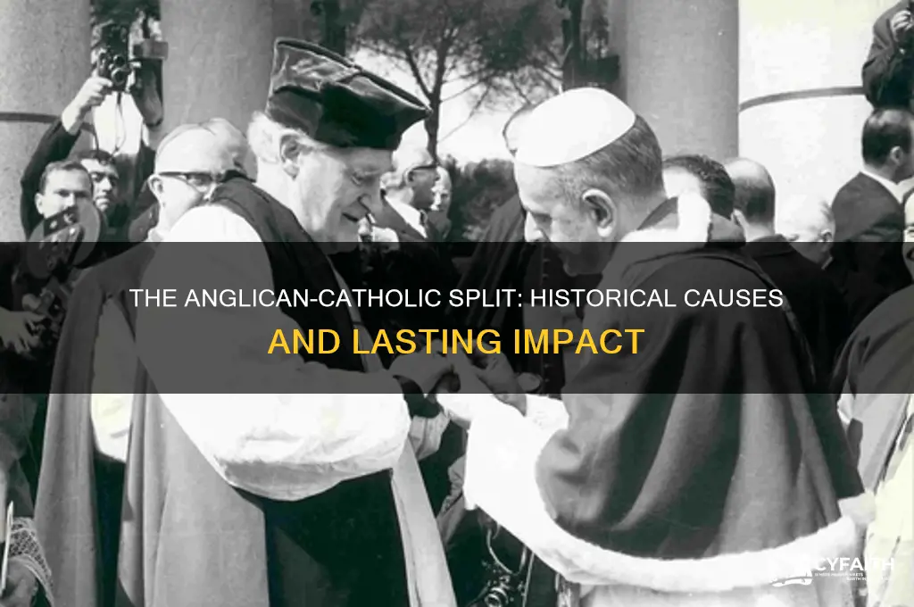 why did anglican separate from catholic