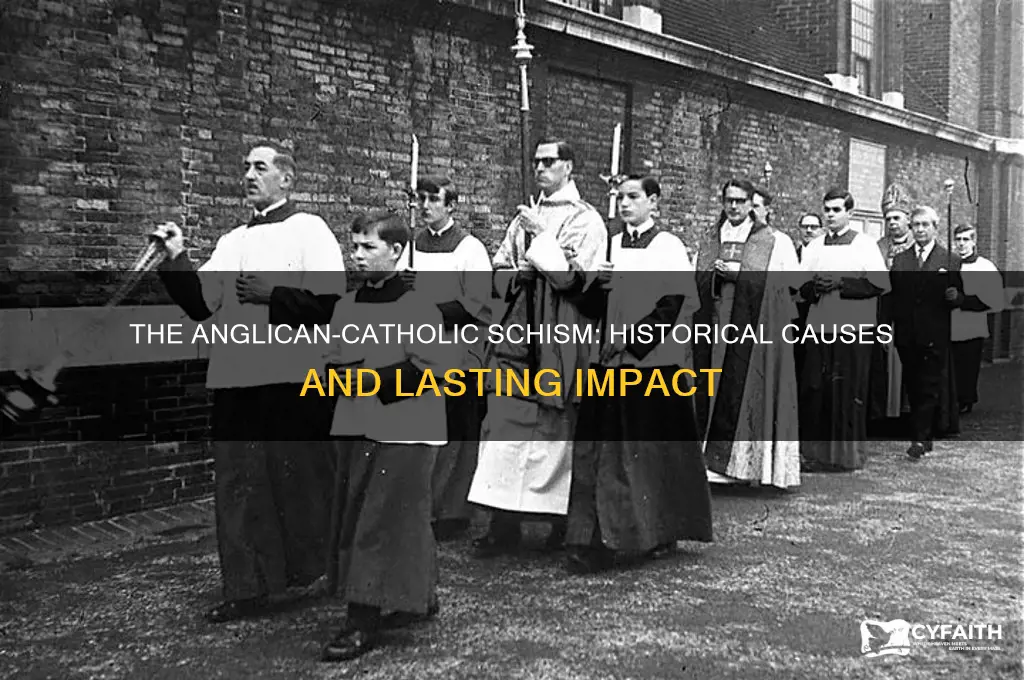 why did anglican split from the catholic church