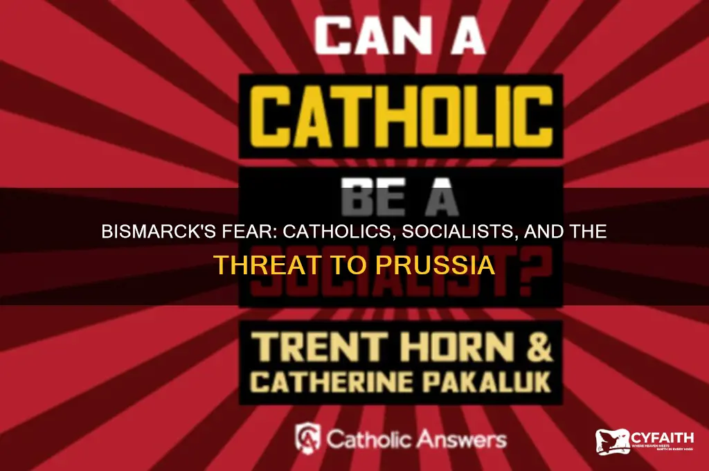 why did bismarck view catholics and socialists as threats