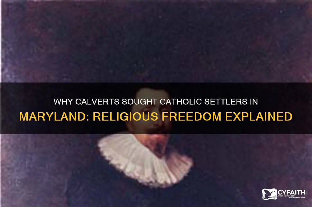 why did calverts want more catholics to settle in maryland
