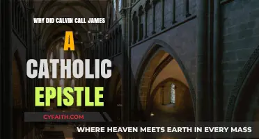 Calvin's Label: Why He Called James a Catholic Epistle