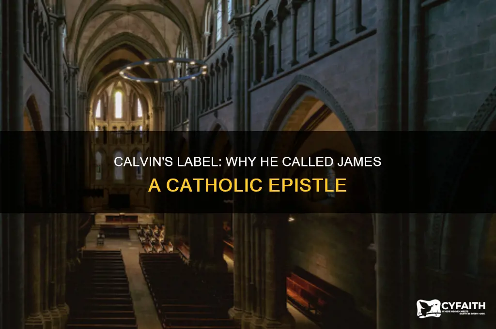 why did calvin call james a catholic epistle