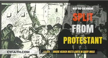 The Great Divide: Understanding Calvinism's Break from Protestantism