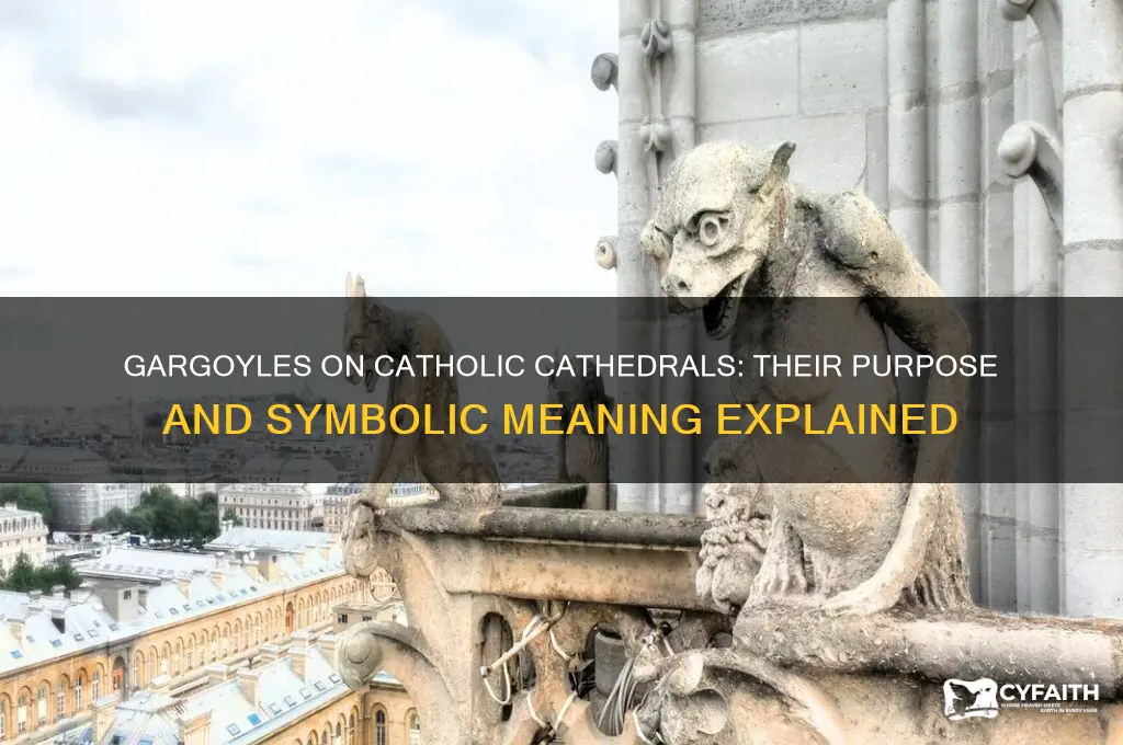 why did cathedrals have gargoyles catholic answers