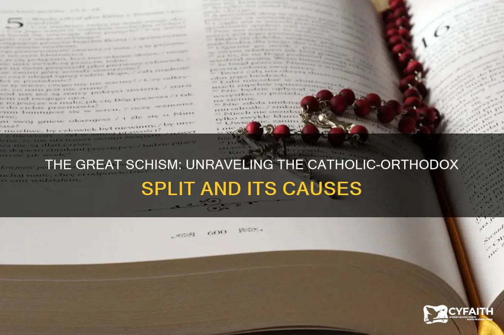 why did catholic and orthodox split