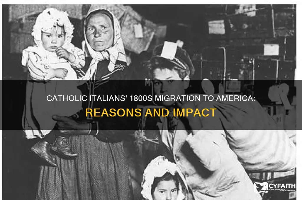 why did catholic italians move to america in the 1800s