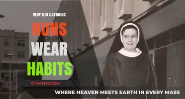 Why Catholic Nuns Wore Habits: Tradition, Identity, and Devotion Explained