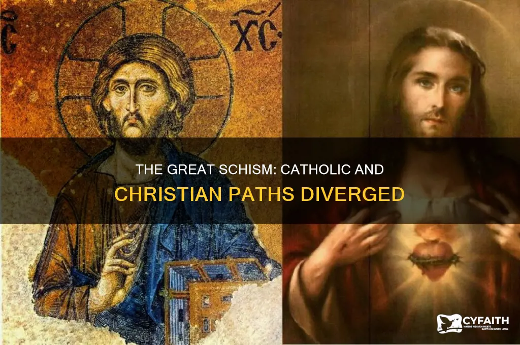 why did catholic split from christianity