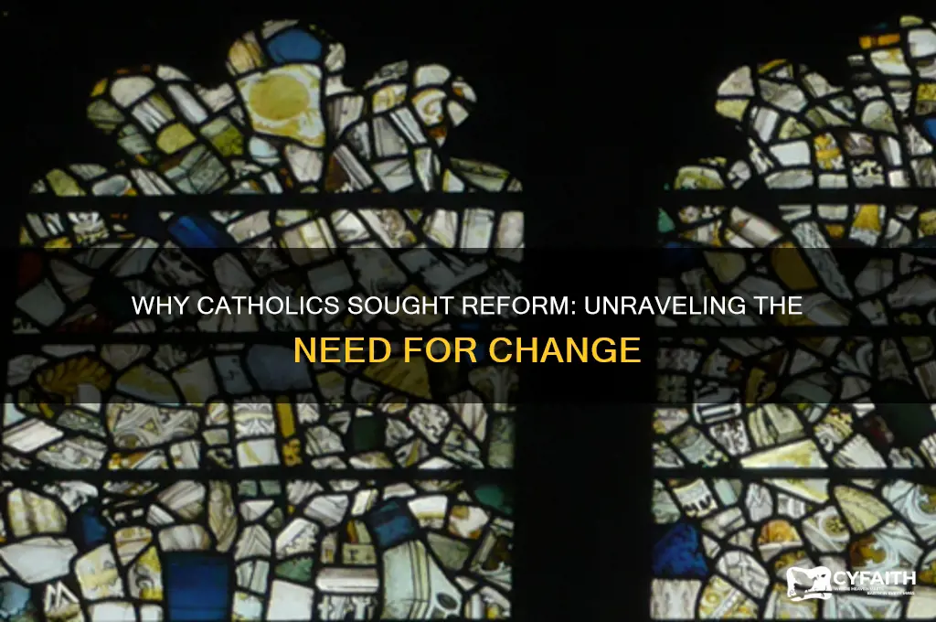why did catholicas want reform