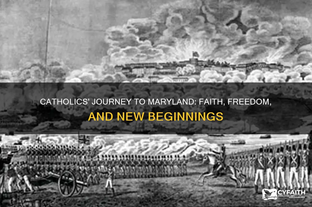 why did catholics immigrate to the maryland colony