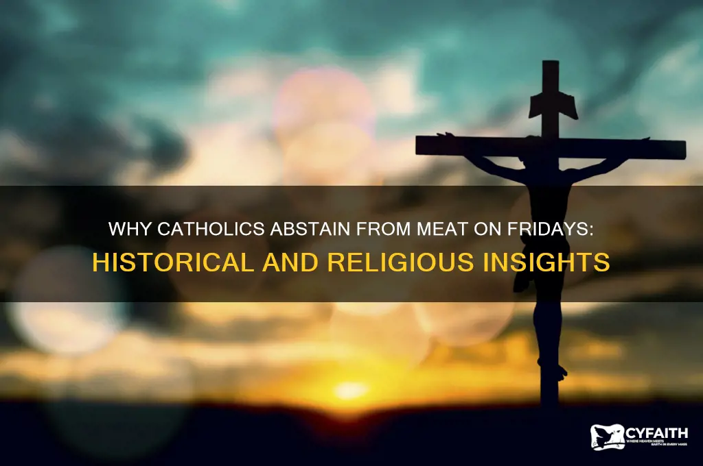 why did catholics not eat comeet on friday
