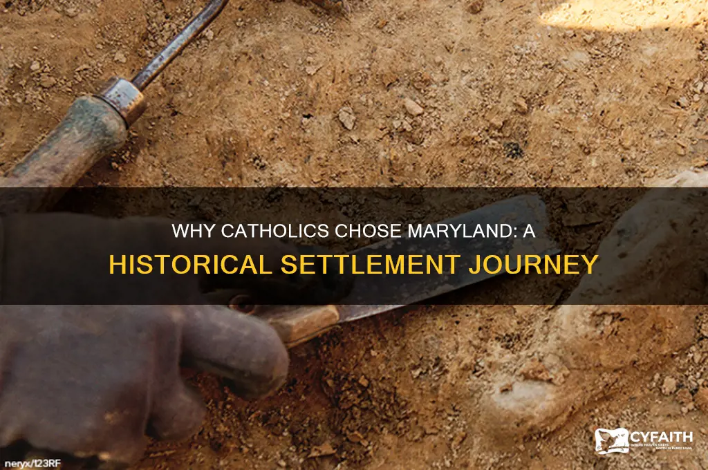 why did catholics settle in maryland