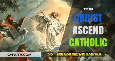Why Did Christ Ascend? Exploring Catholic Teachings on His Ascension