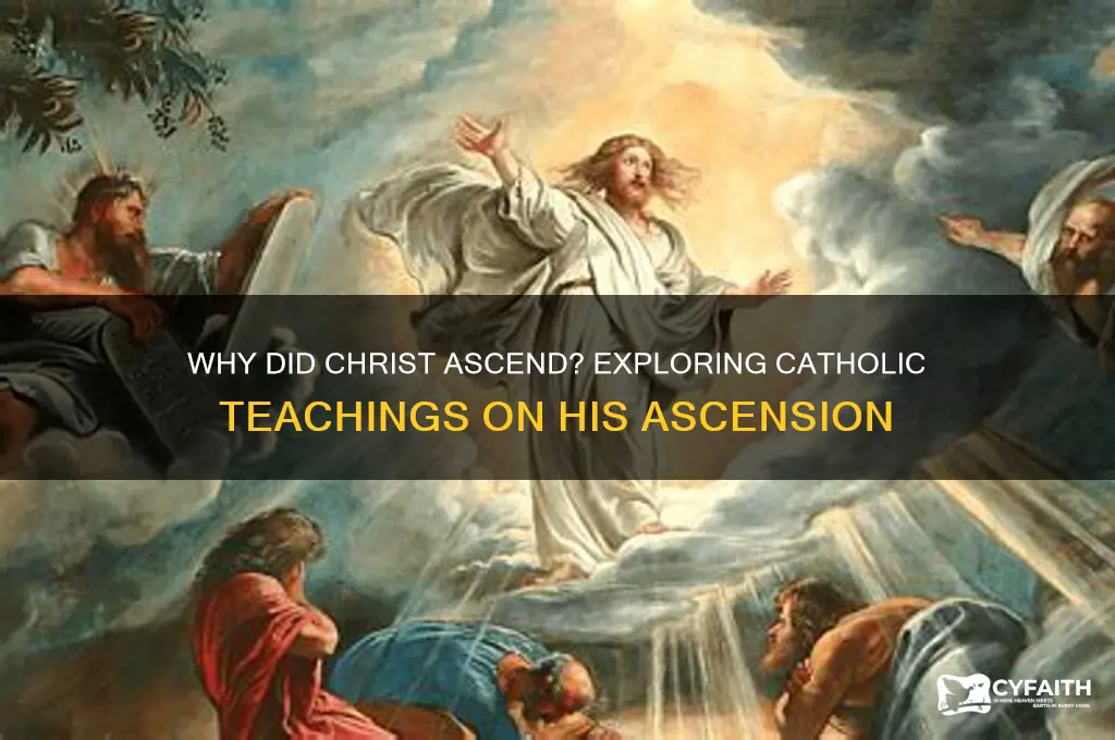 why did christ ascend catholic