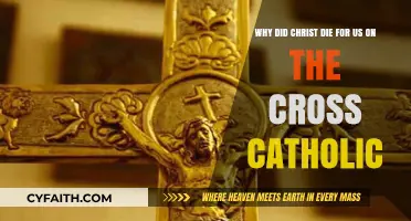 Why Did Christ Die for Us on the Cross? Catholic Insights