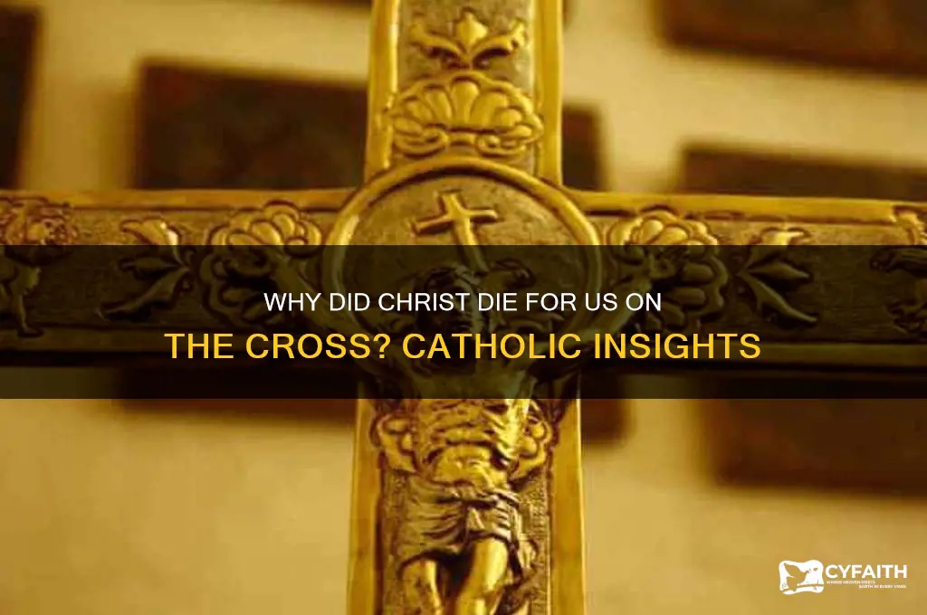 why did christ die for us on the cross catholic