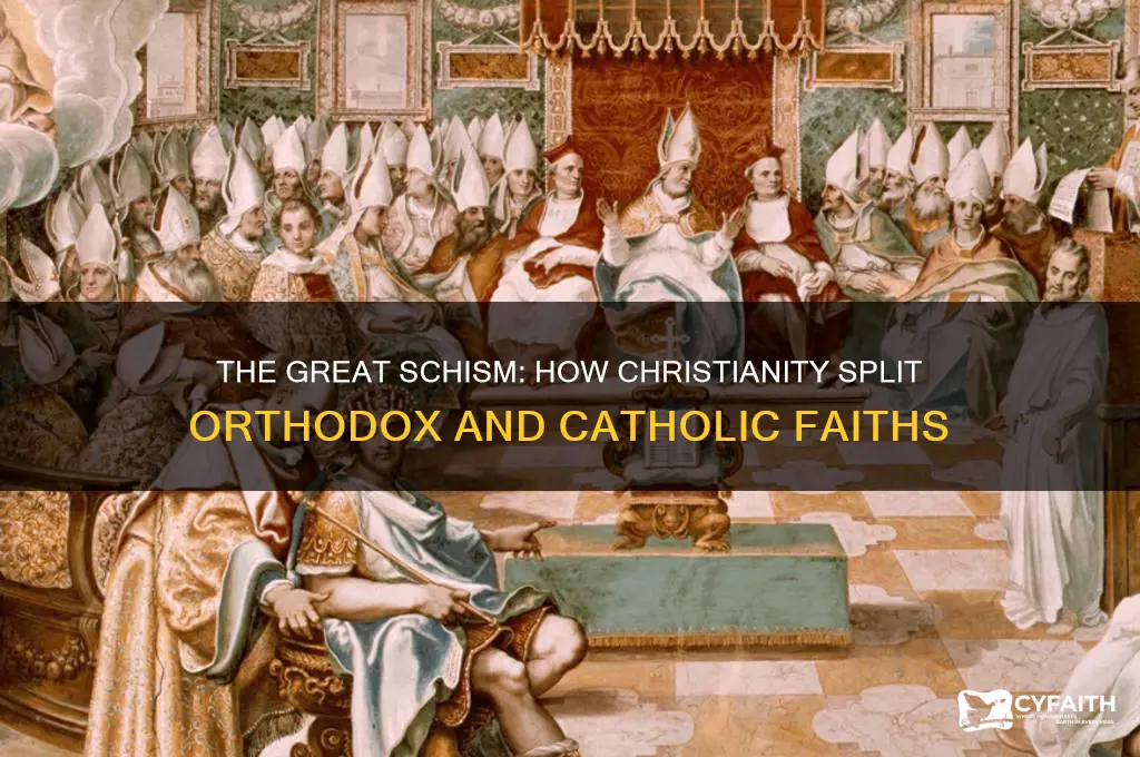 why did christianity divide orthodox catholicism