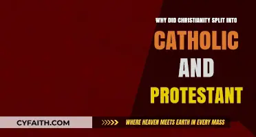 The Great Divide: Understanding the Catholic-Protestant Schism