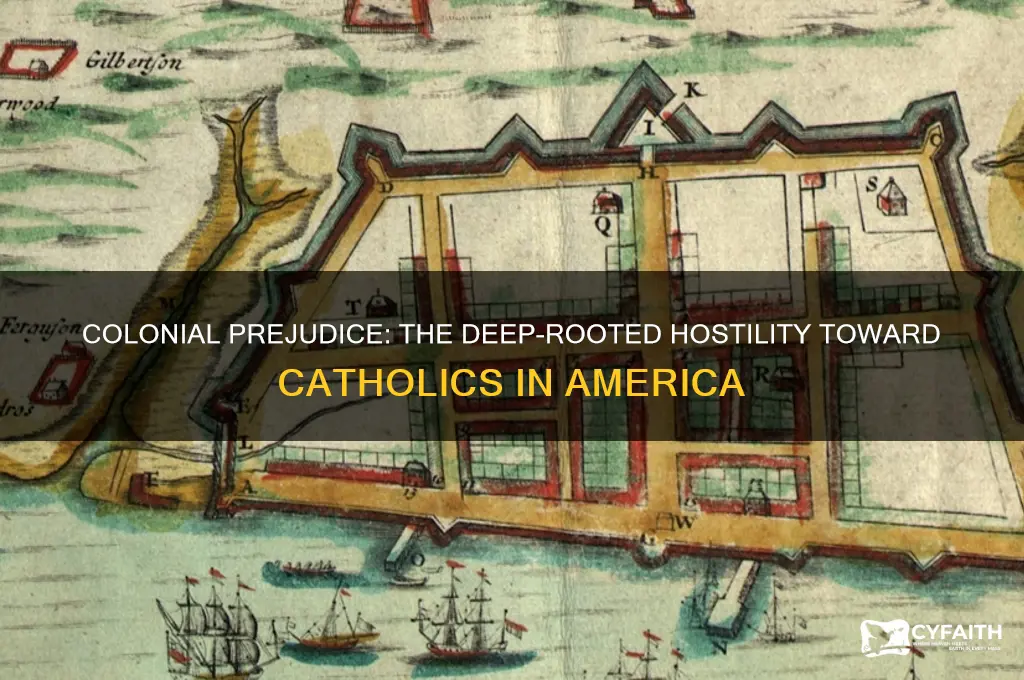 why did colonists hate catholics