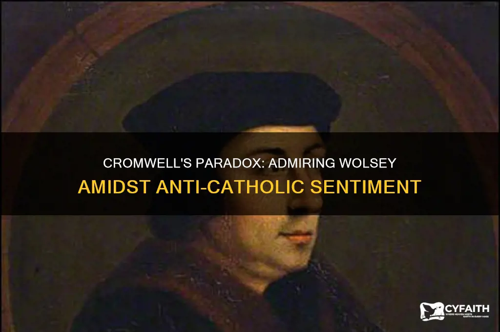 why did cromwell like wolsey but anti catholic