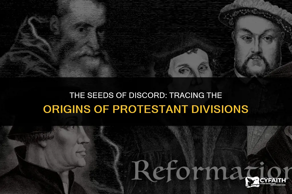 why did early divisions develop in the protestant movement
