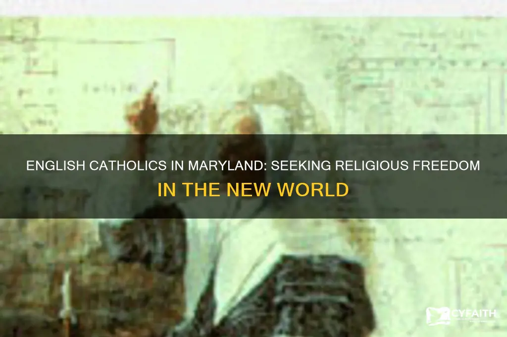 why did english catholics settle in the colony of maryland