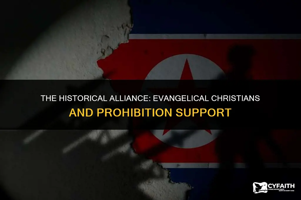 why did evangelical christians support prohibition