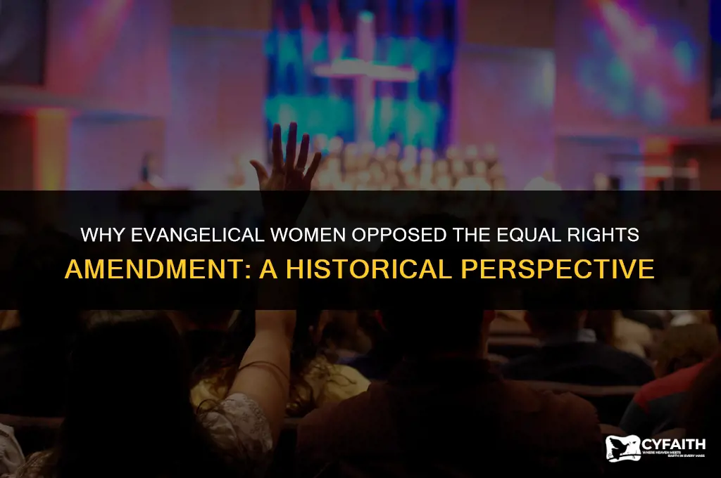 why did evangelical women appose the equal rights amendment