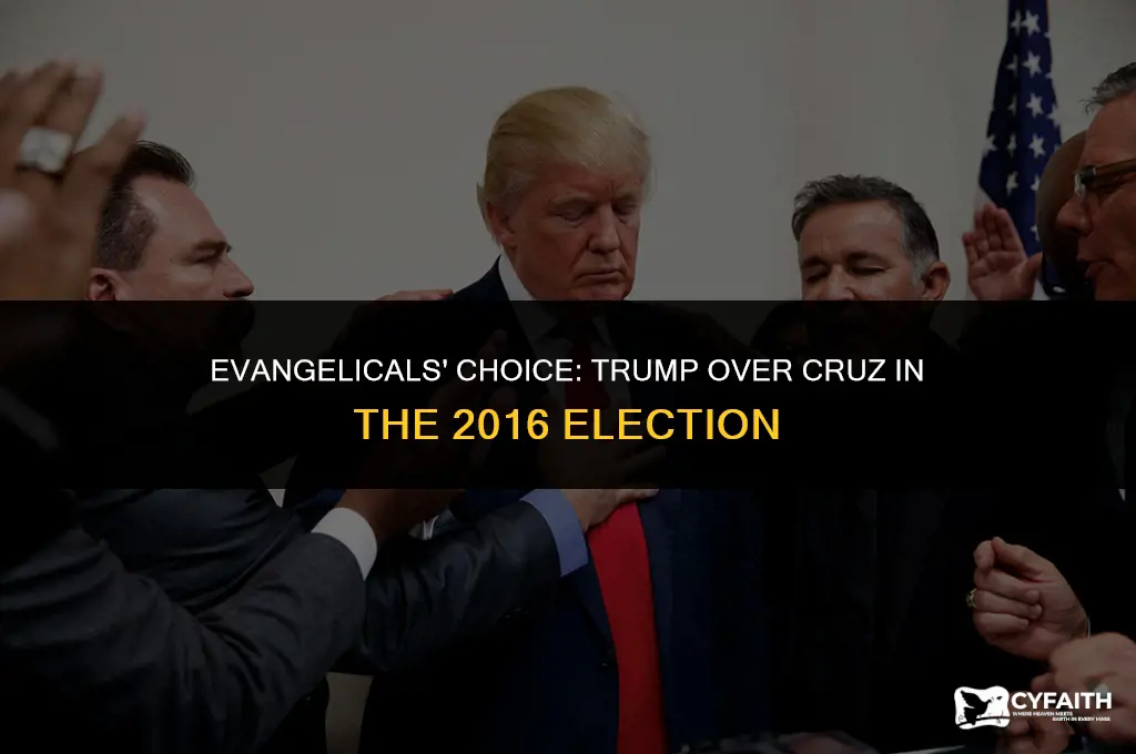 why did evangelicals choose trump over cruz