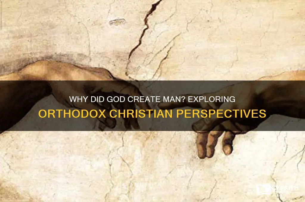 why did god create man orthodox