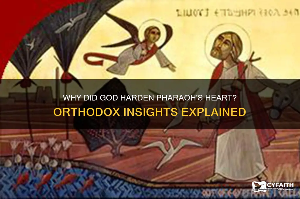 why did god harden pharaoh