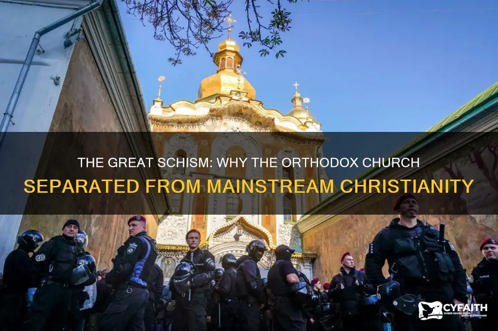 why did he orthodox church separate from the minstream church