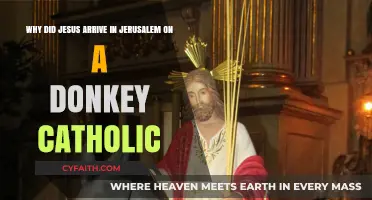 Why Jesus Rode a Donkey into Jerusalem: Catholic Insights