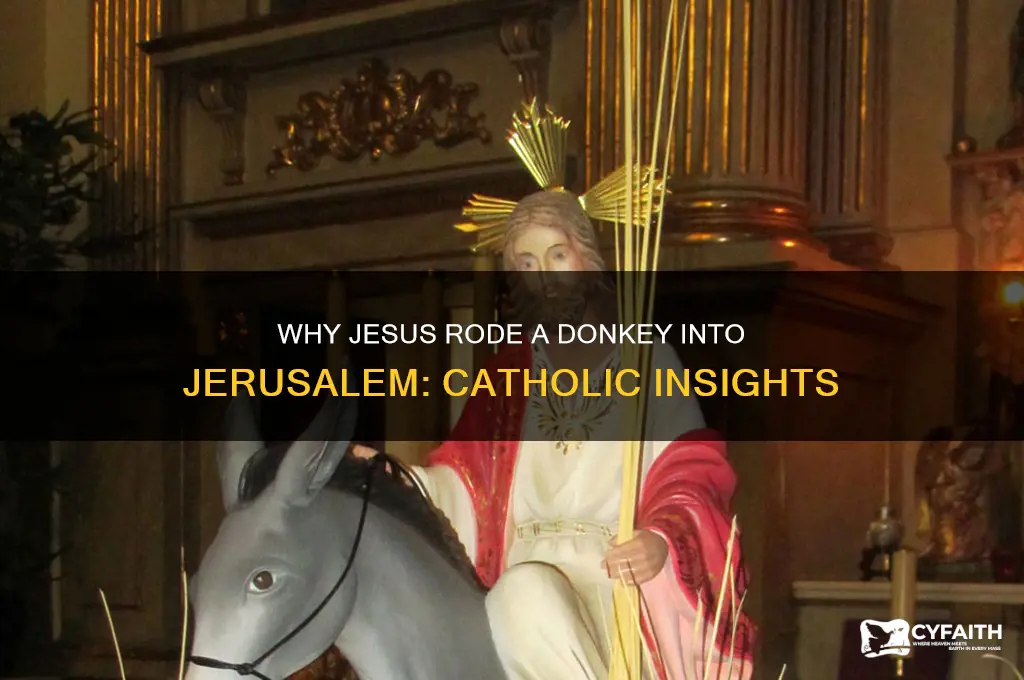 why did jesus arrive in jerusalem on a donkey catholic