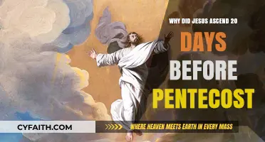 The Significance of Jesus' Ascension: 20 Days to Pentecost