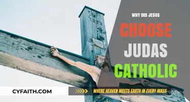 Why Did Jesus Choose Judas in Catholic Tradition?