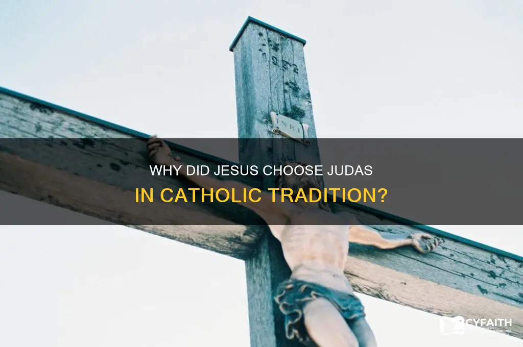why did jesus choose judas catholic