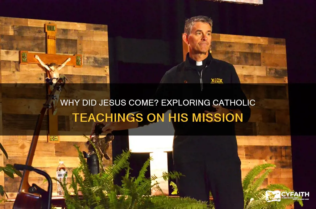 why did jesus come catholic